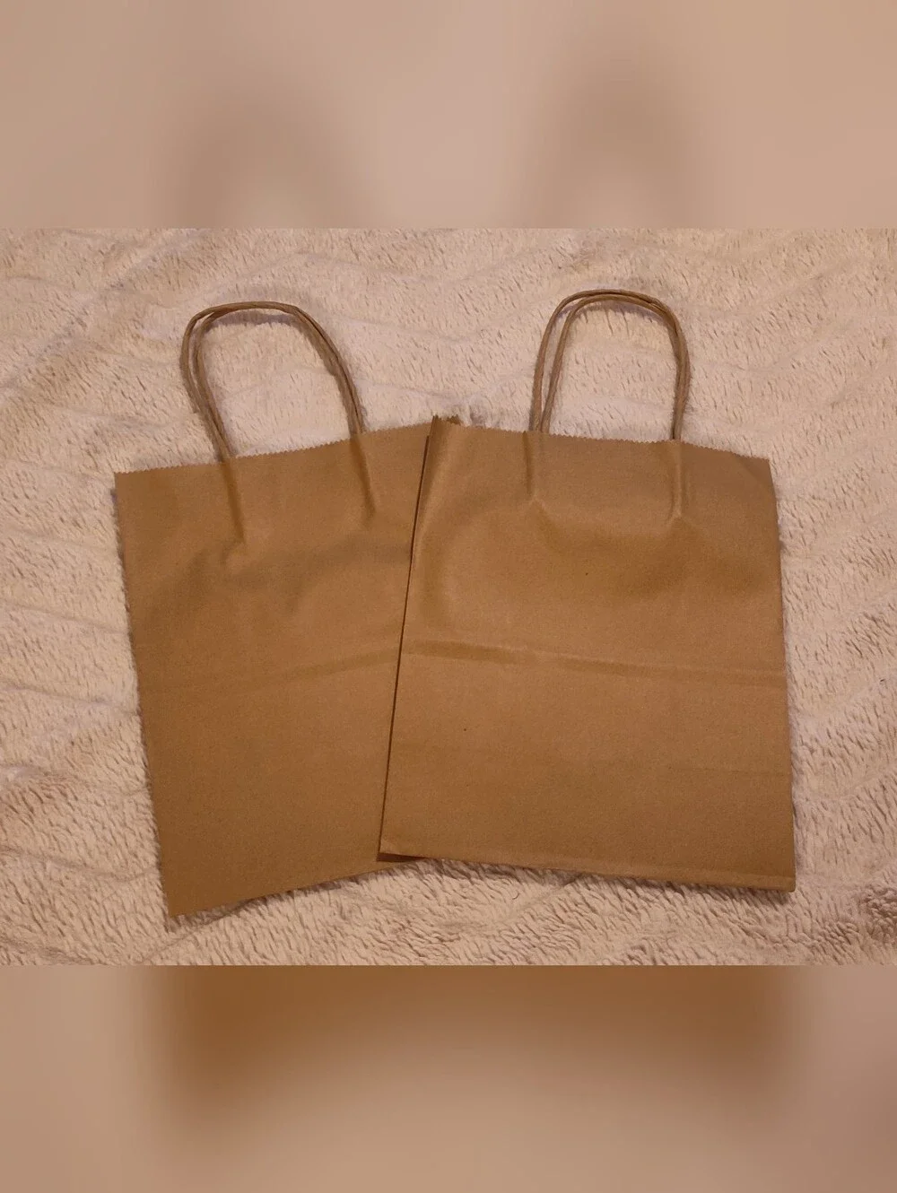 NEW! Bulk Kraft Paper Gift Bags- 51ct